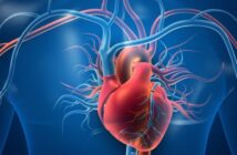 Herz-Hirn-Allianz: Gemeinsam gegen Herz-Kreislauferkrankungen (Foto: Shutterstock - Explode)