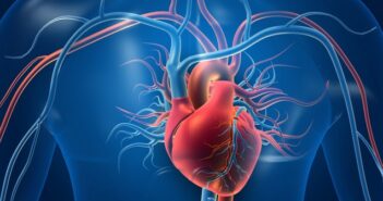 Herz-Hirn-Allianz: Gemeinsam gegen Herz-Kreislauferkrankungen (Foto: Shutterstock - Explode)