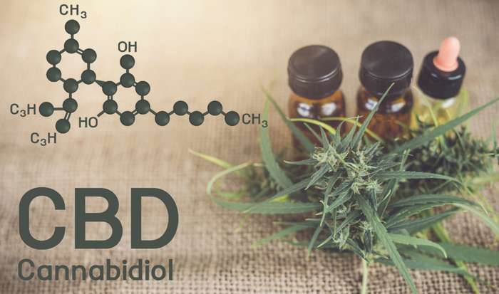 CBD Öl schreibt man eine positive Wirkung zu. ( Foto: Shutterstock - 271 EAK MOTO )